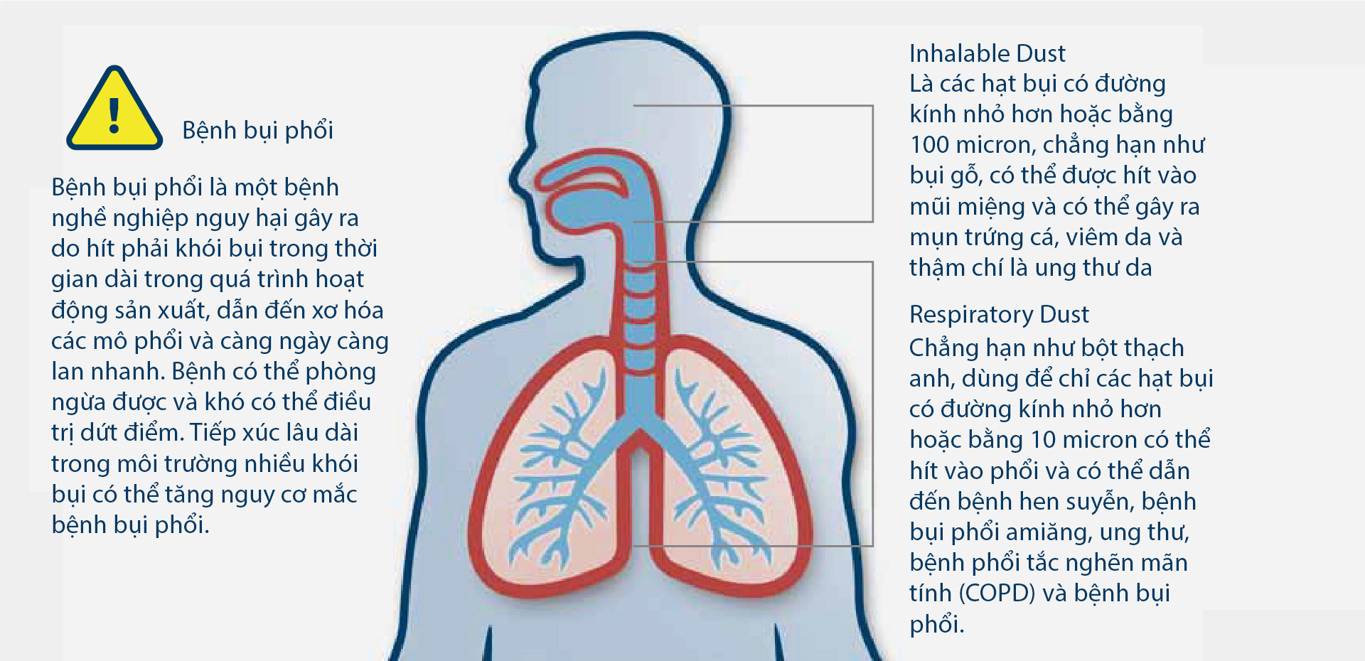 Đồ họa cho thấy phổi của con người và cảnh báo về các bệnh về phổi.